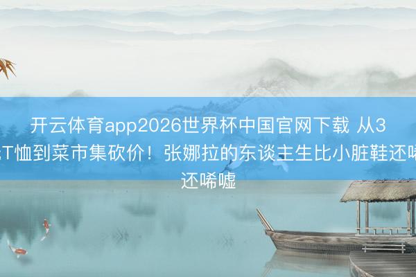 开云体育app2026世界杯中国官网下载 从30元T恤到菜市集砍价！张娜拉的东谈主生比小脏鞋还唏嘘