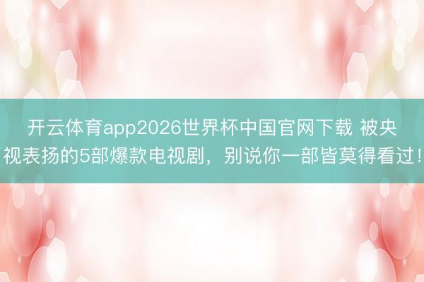 开云体育app2026世界杯中国官网下载 被央视表扬的5部爆款电视剧,别说你一部皆莫得看过!
