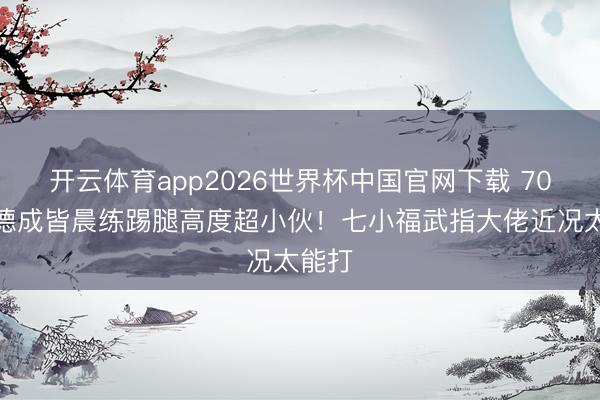 开云体育app2026世界杯中国官网下载 70岁元德成皆晨练踢腿高度超小伙！七小福武指大佬近况太能打