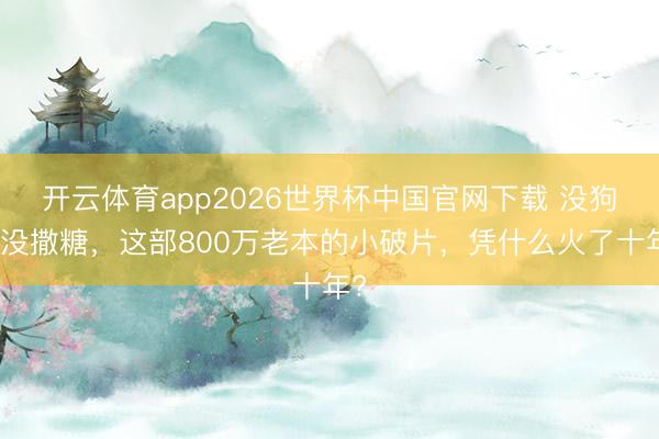 开云体育app2026世界杯中国官网下载 没狗血没撒糖，这部800万老本的小破片，凭什么火了十年?