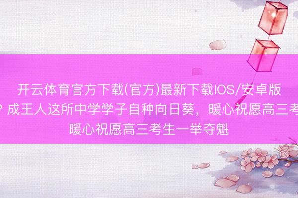 开云体育官方下载(官方)最新下载IOS/安卓版/手机版APP 成王人这所中学学子自种向日葵，暖心祝愿高三考生一举夺魁